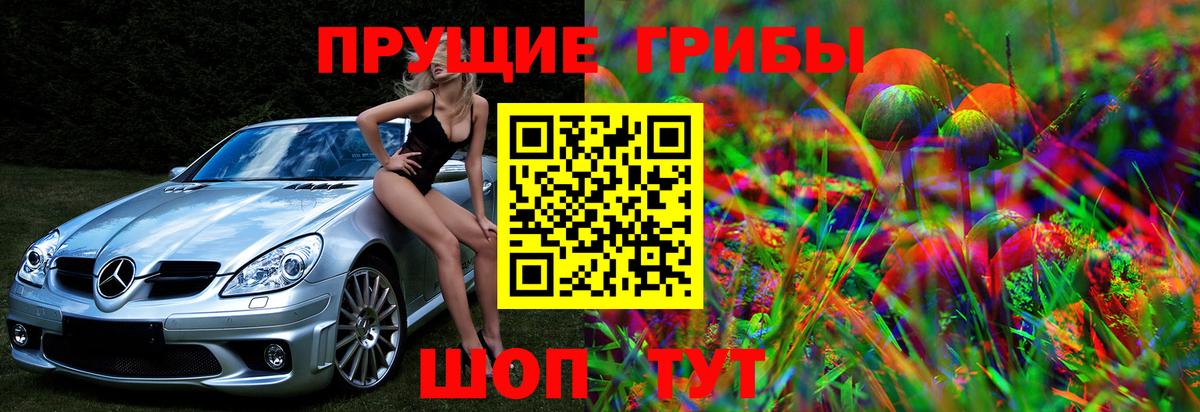 Галлюциногенные грибы мицелий Ишимбай